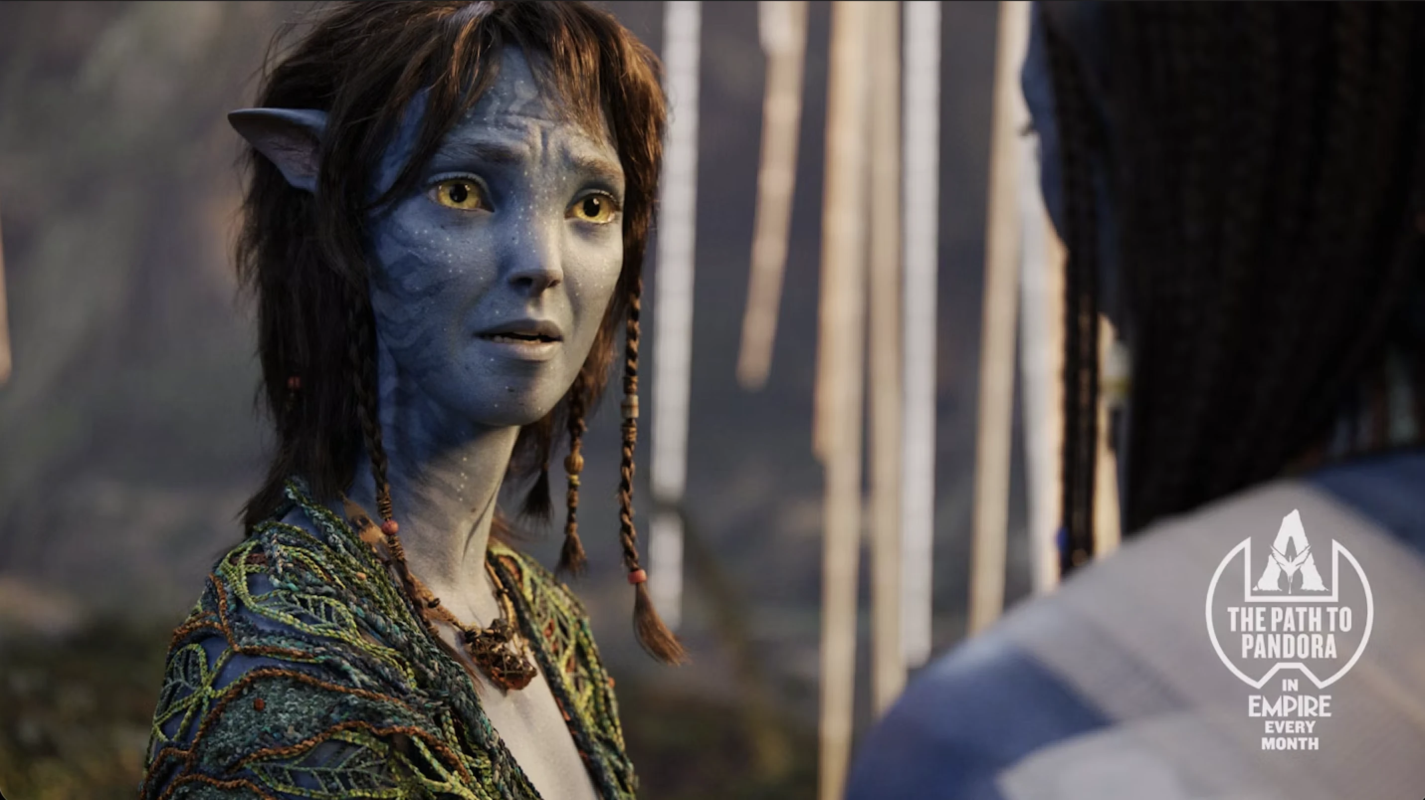 阿凡达3：三年等待，故事暂时告一段落