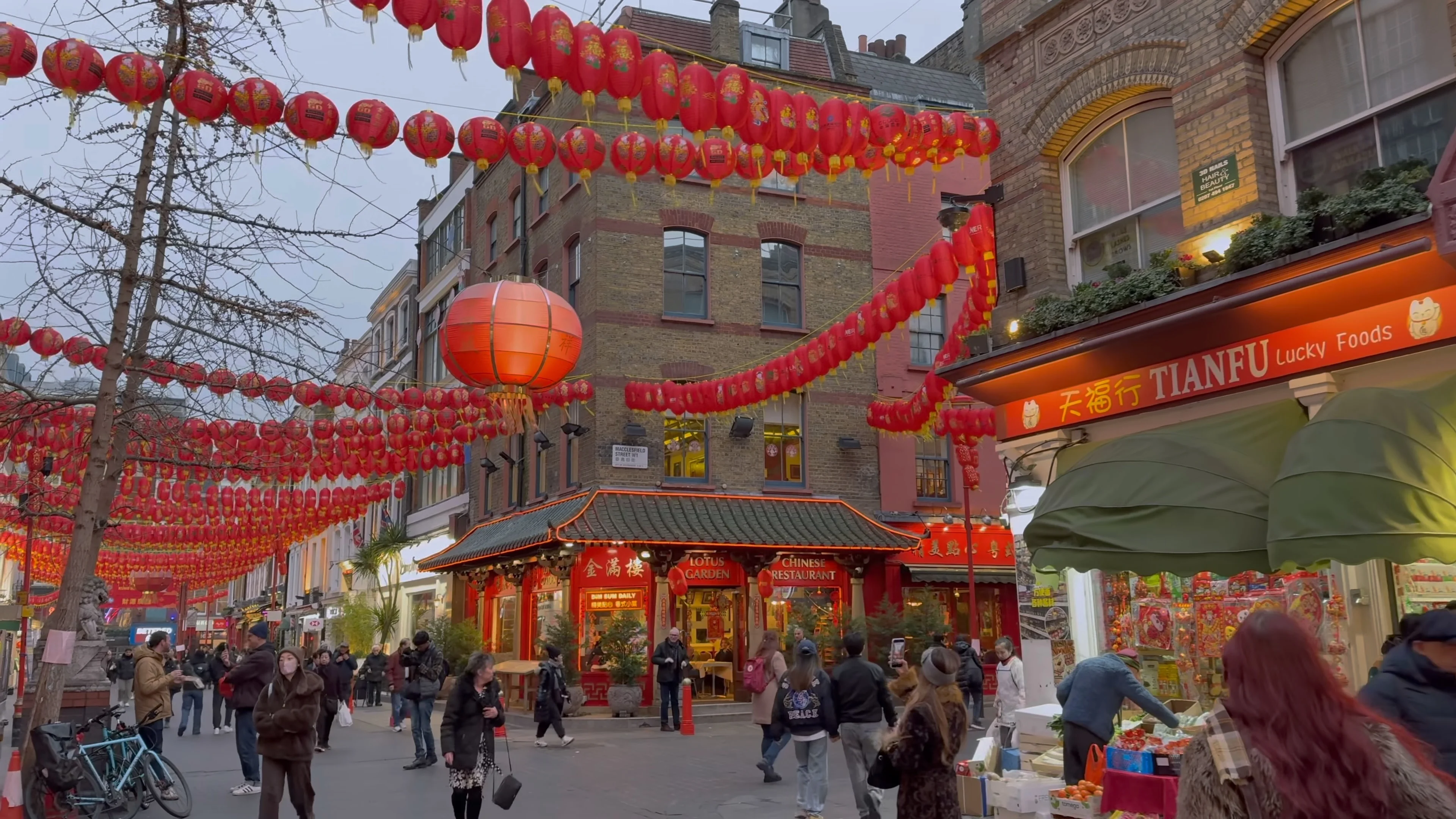 Chinatown Lanterns
